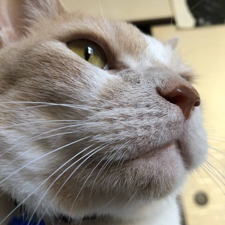 3fcd528e fbba 424c b220 36fba18e6998 1514956774187