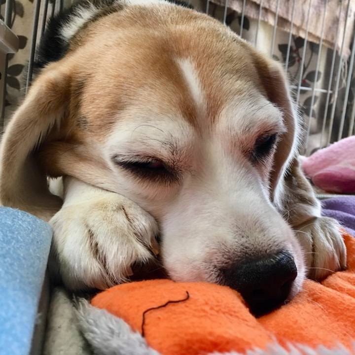 3fcd5a21 e82d 4f4a b92f 0a2aba12b5af 1559100553027