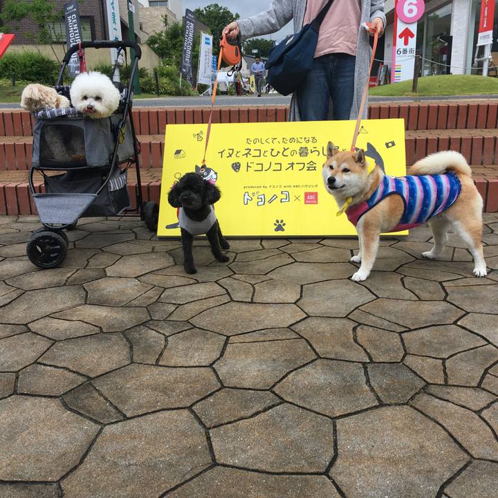 3fcdc962 13b7 4e29 ac1e a9c8754a0e66 1560079962170