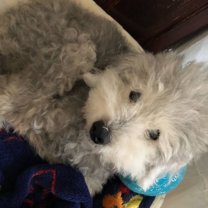 3fce27ca fdfc 49d7 bfe5 5dd1a929995e 1657757123216