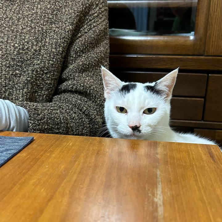 3fce4eb4 1792 4e9b 9f84 229c78f4ab12 1740999796753