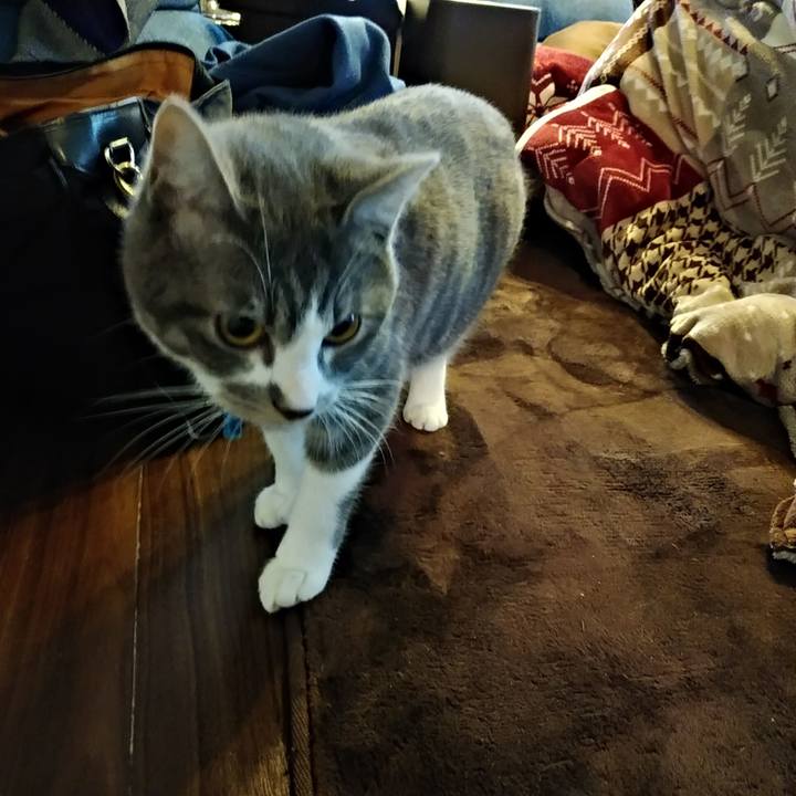 3fce5765 b9ab 4cdb 85cd 259d1da27acc 1579648107382