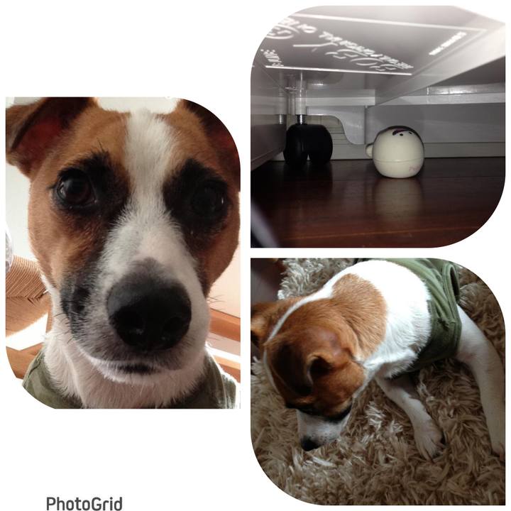 3fce8ef8 f465 470f a762 4b5f543f03bb 1692015534374