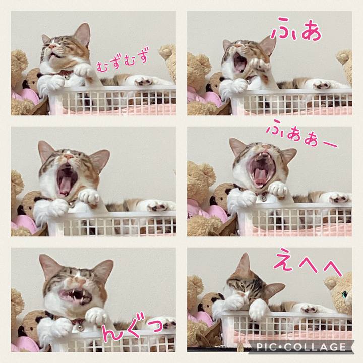 3fcea515 26cf 4f2e 8761 91ba6d1292da 1676360551617