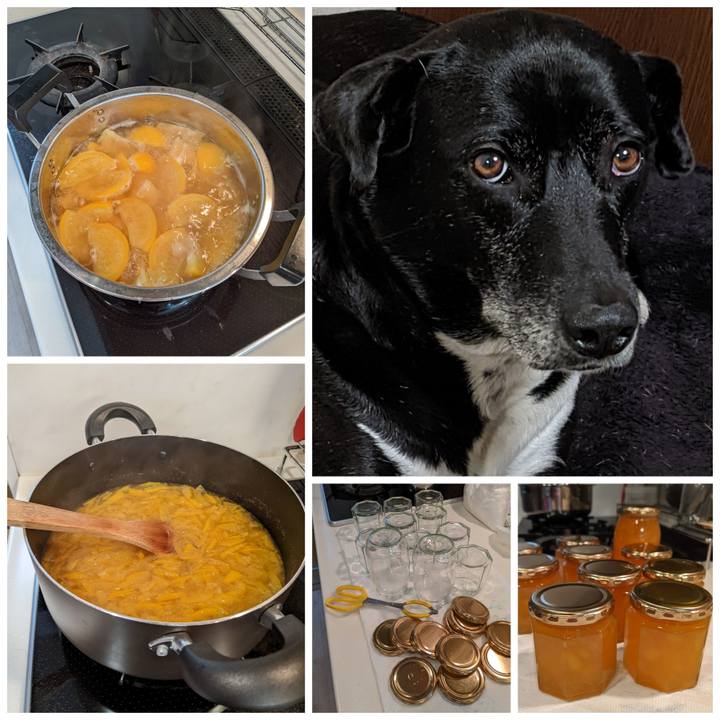 3fceb398 a2e0 44cb b96c bc368379807c 1707646681339