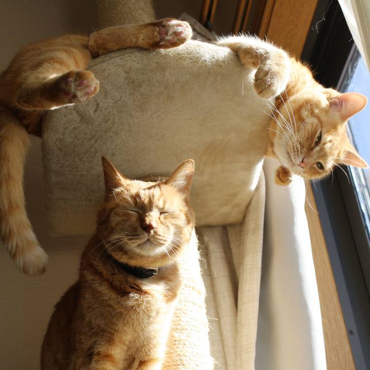 3fcf0dc6 b090 4a9d 81c1 0d21a50ccc3c 1722837766925