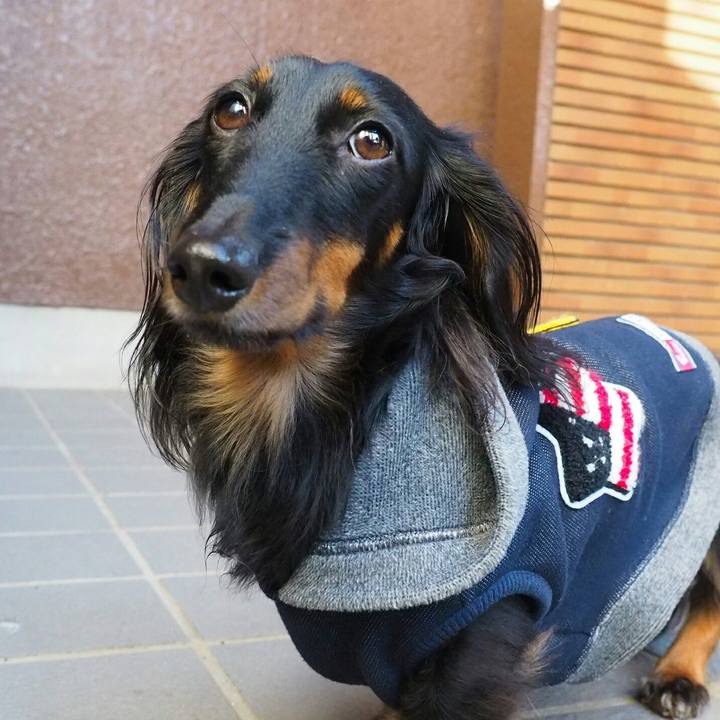 3fcf2766 01bf 4db0 907f 7232db401986 1512192682875