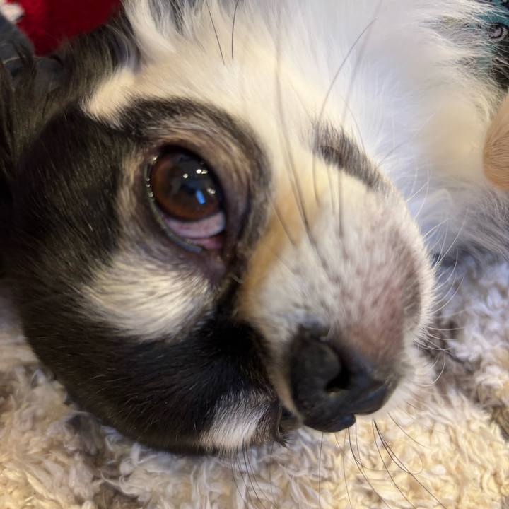 3fcf29cd 890c 4d44 8304 4a243354a01b 1740844903368