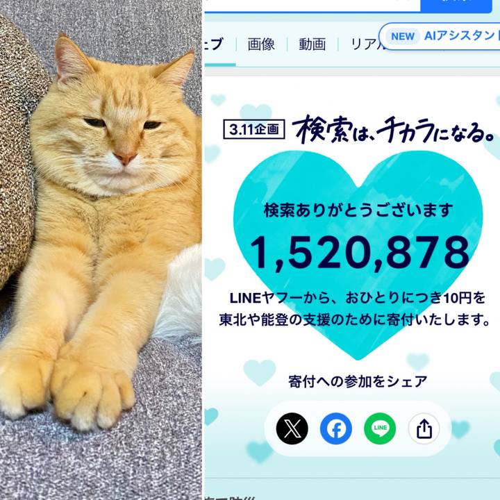 3fcf34b6 8839 45e3 86cc d19981197b0e 1741647966771