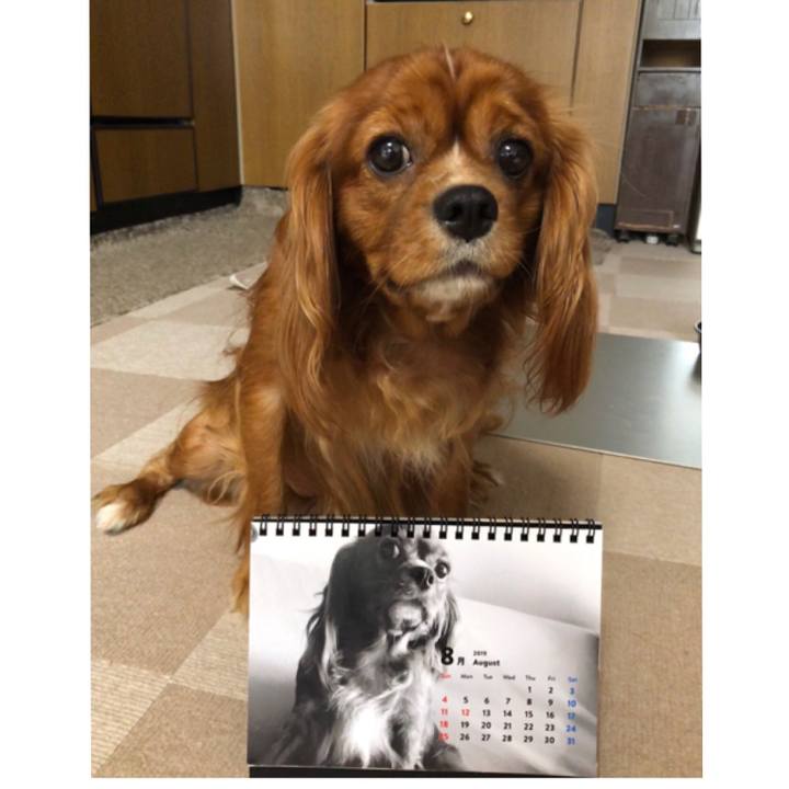 3fcf4edf 002d 42d0 be57 b61e434cc6e3 1564610547732