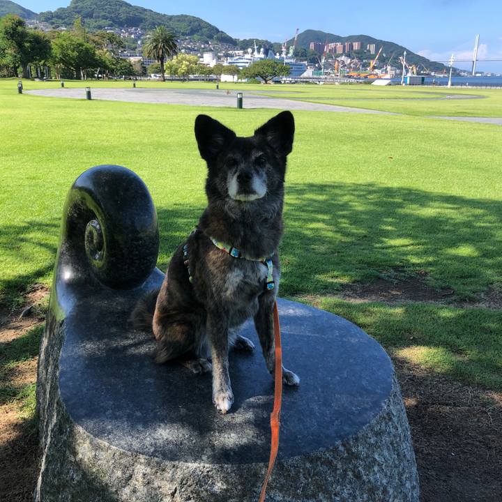 3fcf95ba 345d 4182 b1f3 e58551e995c1 1690259316210