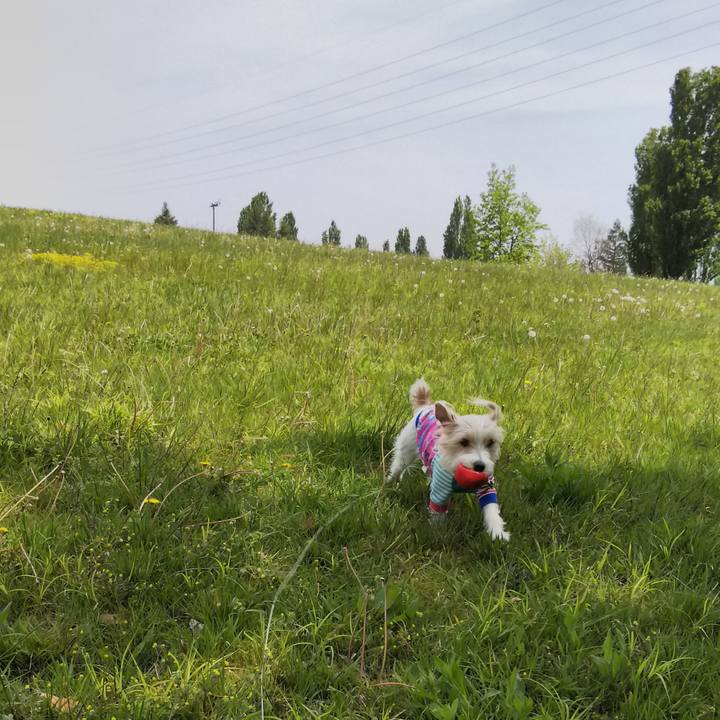 3fcf9904 cca1 4ea7 8926 b65b50b97e65 1524382620884