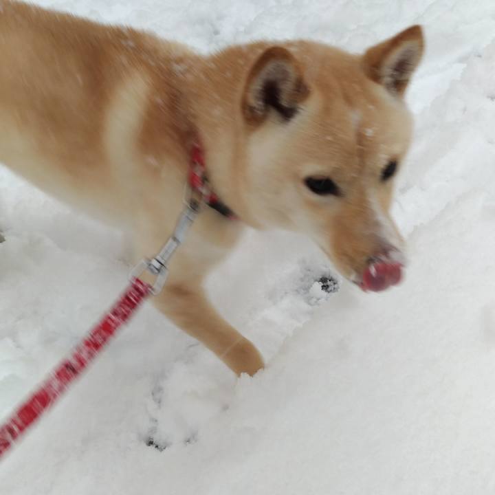 3fcfabee c36b 4d7d a29e 865da07cdece 1516617994074