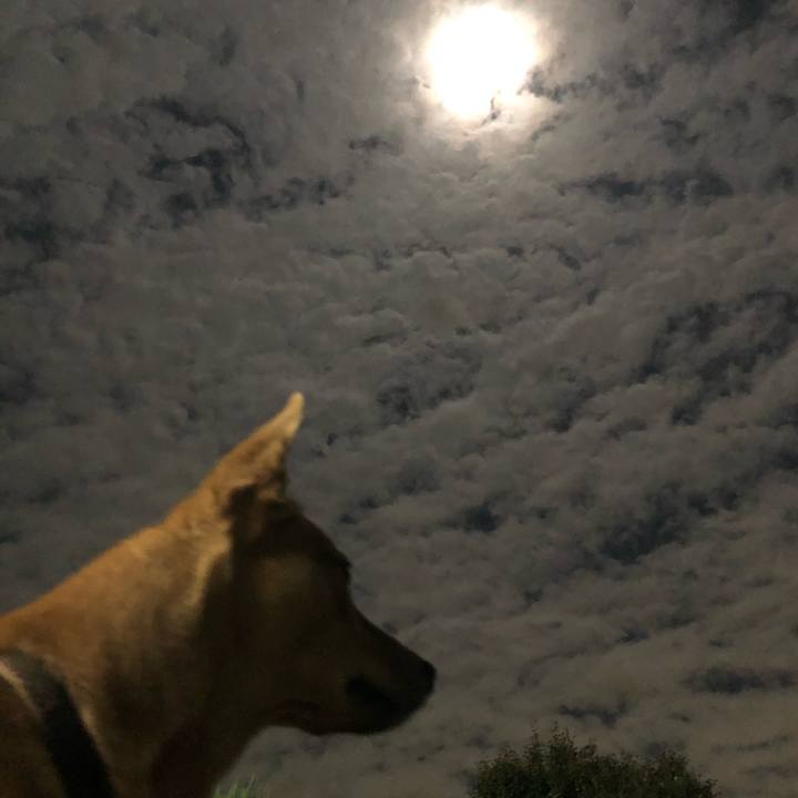 3fcfc6d8 915e 417b a6b0 0e483786ad1b 1573566016900