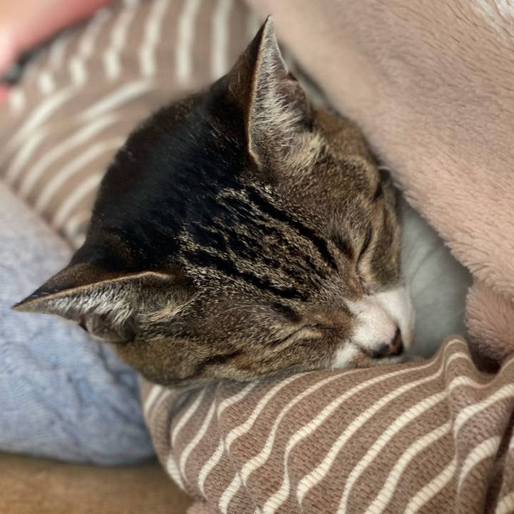 3fd06b48 fe6e 4f57 9756 144ab53b7770 1639445656264