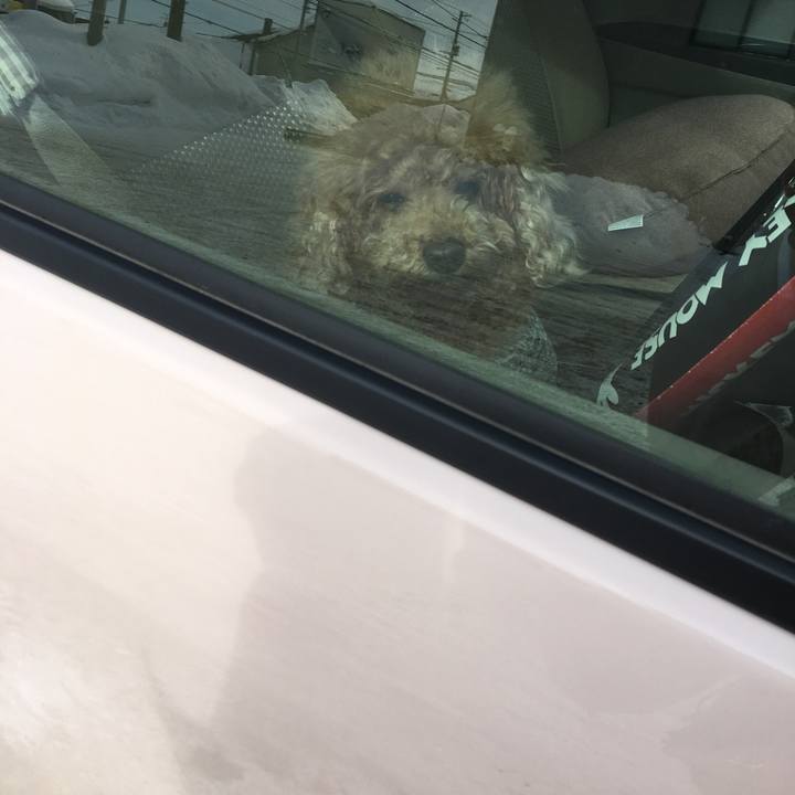 3fd09f84 a700 41e2 b531 97b9339c3c0d 1517635140349