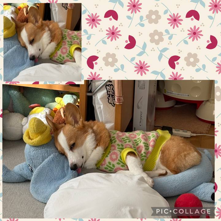 3fd0ad1f 82cd 463d 8b07 e4dc55b330f9 1769496610826