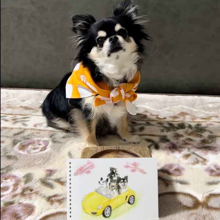 3fd0dc45 8258 4196 acf6 7ab023ee1030 1715424738962