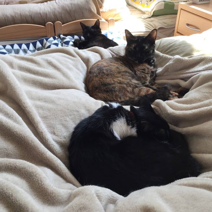 3fd102d3 c47f 402a 910a 7845b3d4b5b8 1523415553120