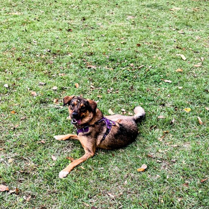 3fd11cdc 6d69 4f8e b914 507fc86c8041 1729923724473