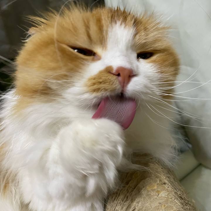 3fd13c6e a09b 4f46 b8c6 9b6f903bbf8a 1666023082215