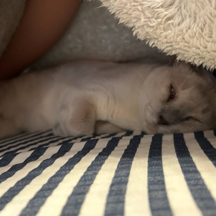 3fd1575c acaa 4331 9c40 279b39069644 1738371754910