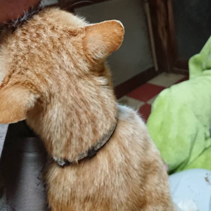 3fd19984 72c5 4380 8e79 85974eb6e5cf 1588714633905