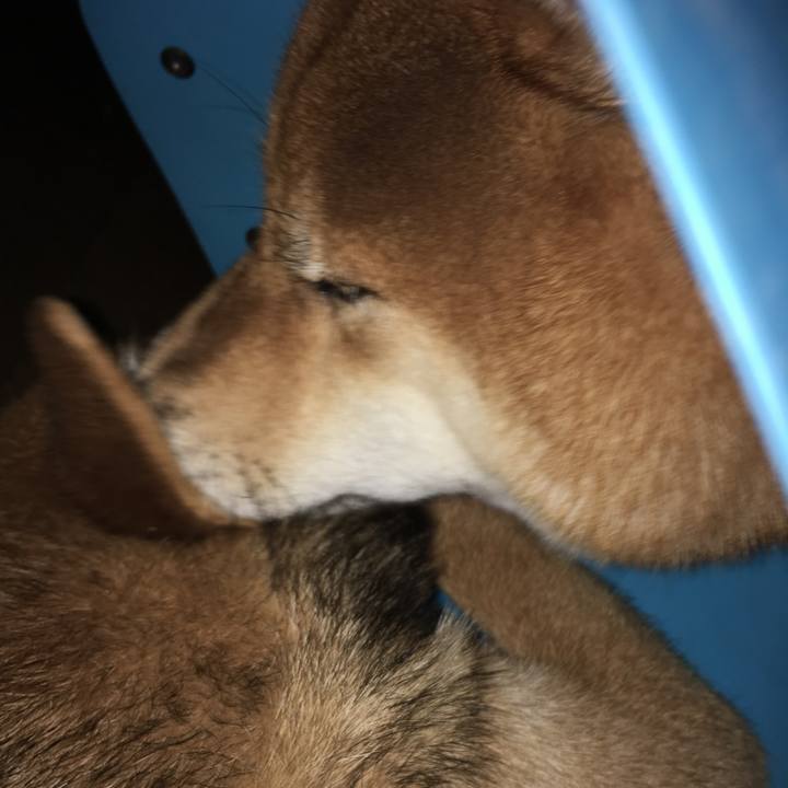 3fd1ae40 20ad 4fd6 b117 b6fb36ecd10a 1513032499118