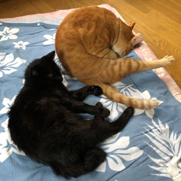 3fd1fd39 f4b4 4ac0 9b97 a6e4f3e92be6 1564108813211