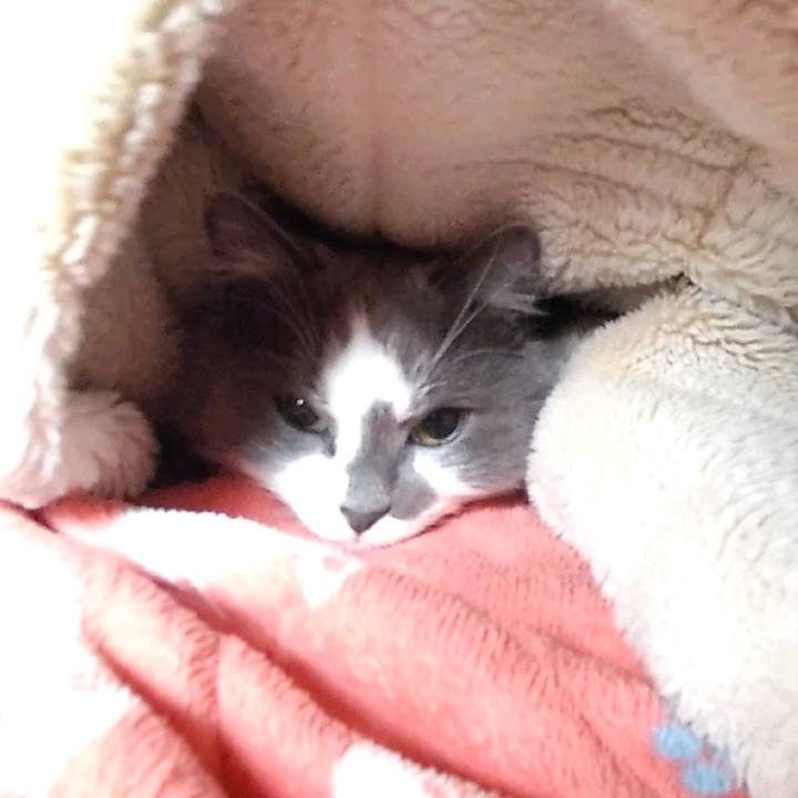 3fd20aeb df28 4bb8 9347 95e32f013797 1648963287232