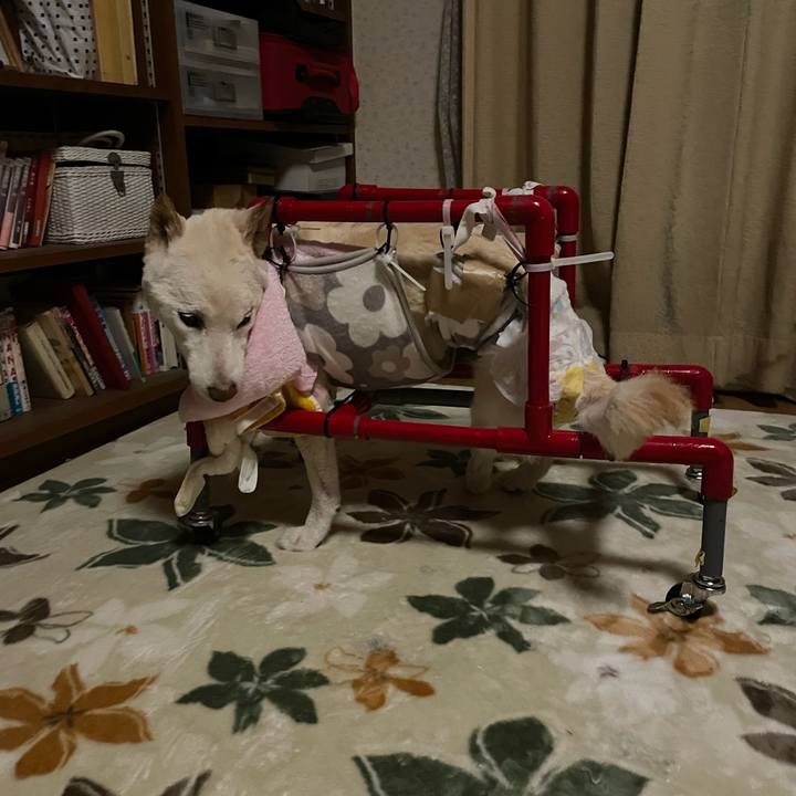 3fd21975 71c3 4874 b9a2 c2cfb4a6f665 1671819520536