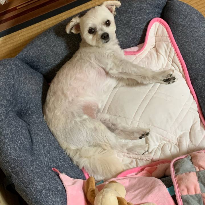 3fd26da4 0d4d 49f0 b9ba ae4c0800a6ff 1632308303094