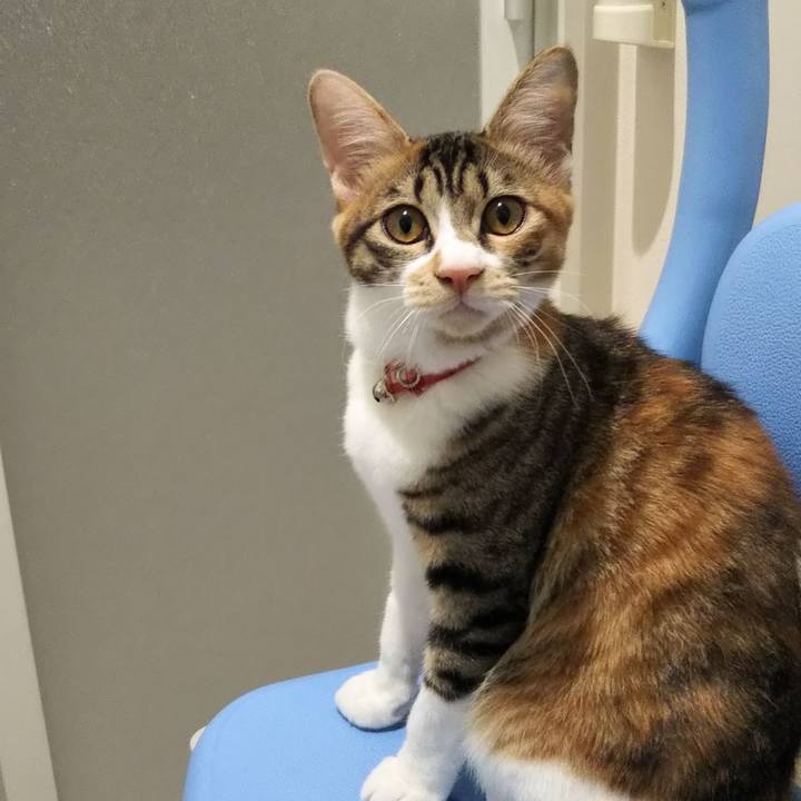 3fd26eeb 8ea2 4f51 a48a 5d2ef840a274 1636678405752