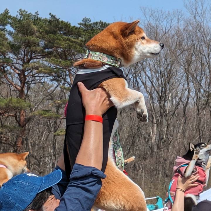 3fd270ce 1a1b 40bf b448 0c1f0300c7fb 1713192661175