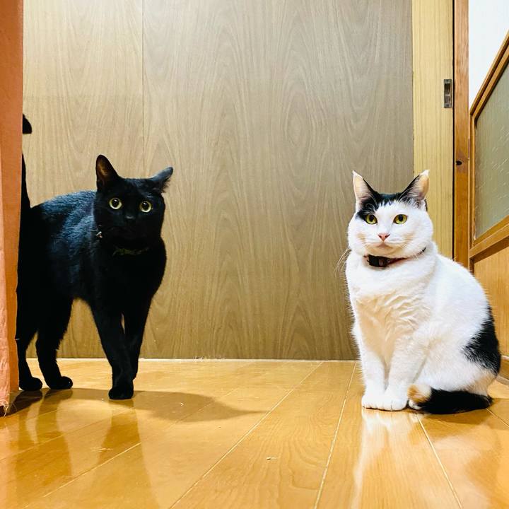 3fd29c32 1725 4f5c 865b 915fff00a057 1699482281419