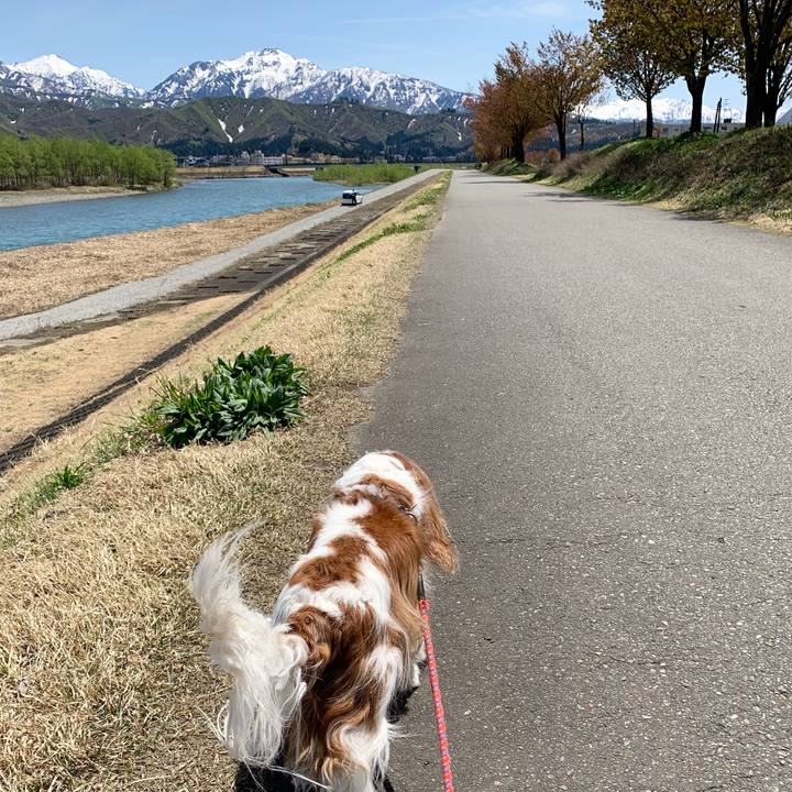 3fd2c083 cc6e 40cf 9691 d46e7218e5d8 1619497022555