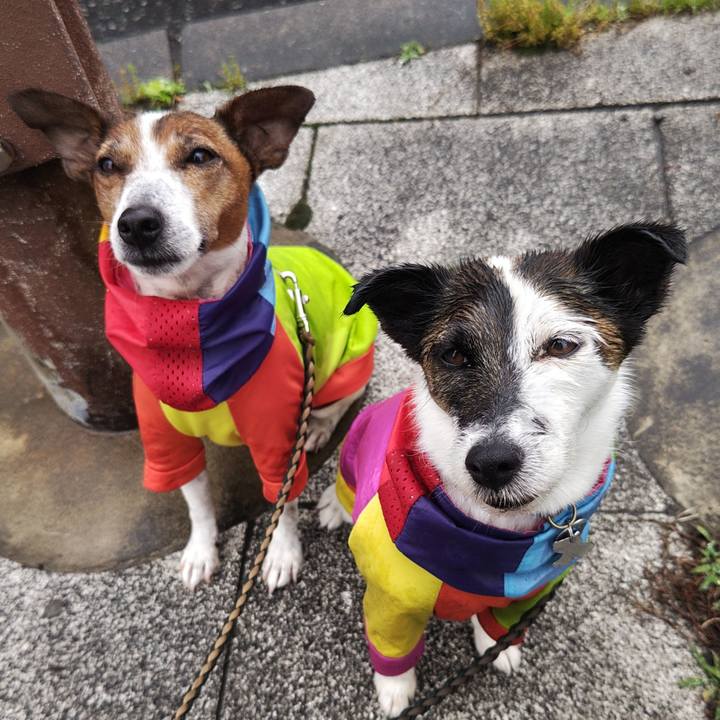 3fd2cf72 7b77 4e8c 9507 3f84bd830e93 1747433952440