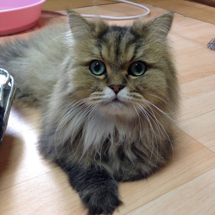 3fd2f333 2d1a 4cd4 b671 df402112804b 1546222764145