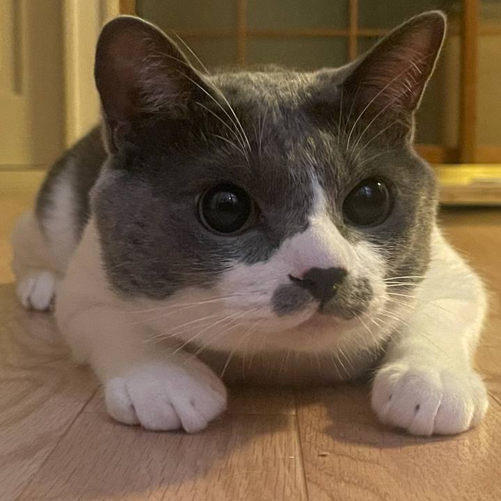 3fd2fb67 af0f 42d8 aacf 03cfc5a31cd9 1625142448607