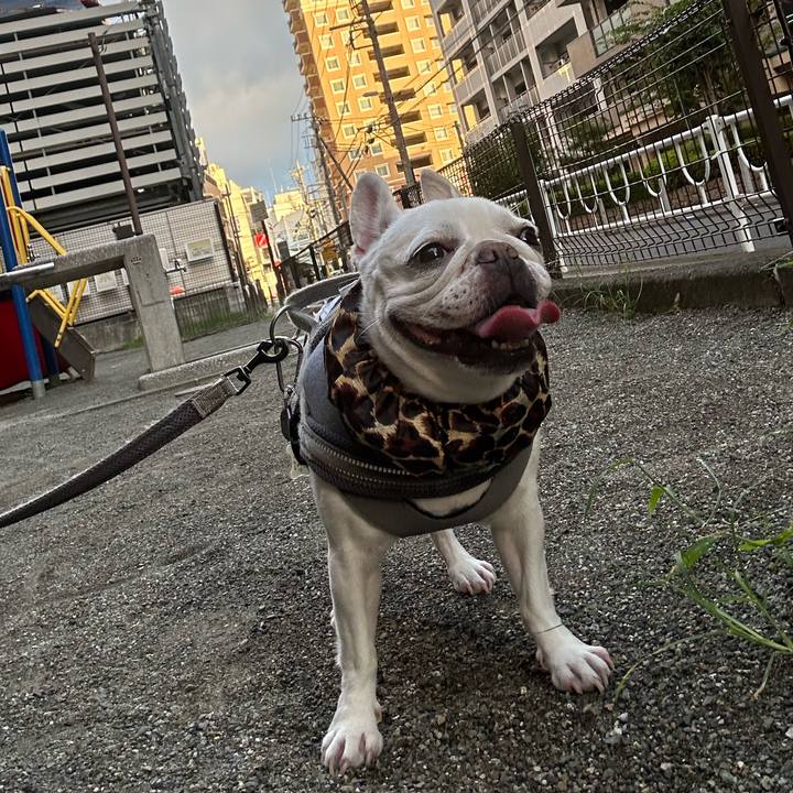 3fd2fc85 ff46 4fc4 a6d5 2c284f32ba08 1693002834641