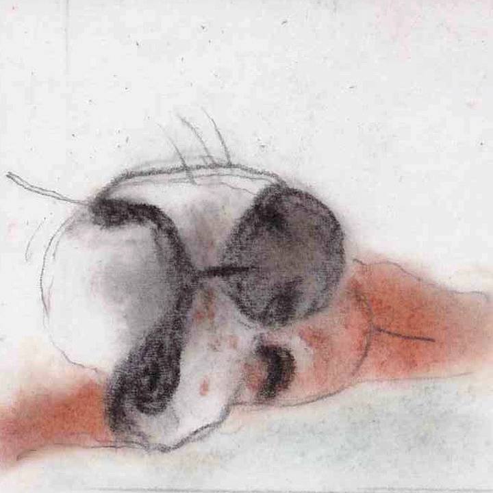 3fd31972 2cec 47eb b623 e206b27a46c3 1658020759411