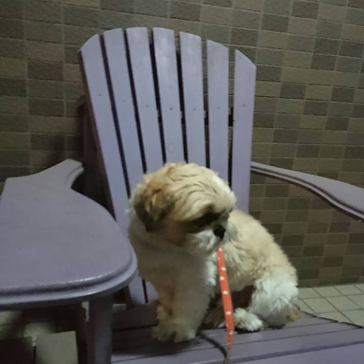 3fd31b1f ee78 4fb3 88f2 65c902d1500e 1528114679410