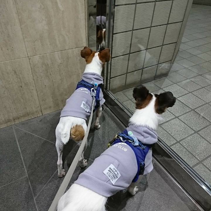 3fd3271c 17ce 4484 b709 4d644b3e3580 1544303111856