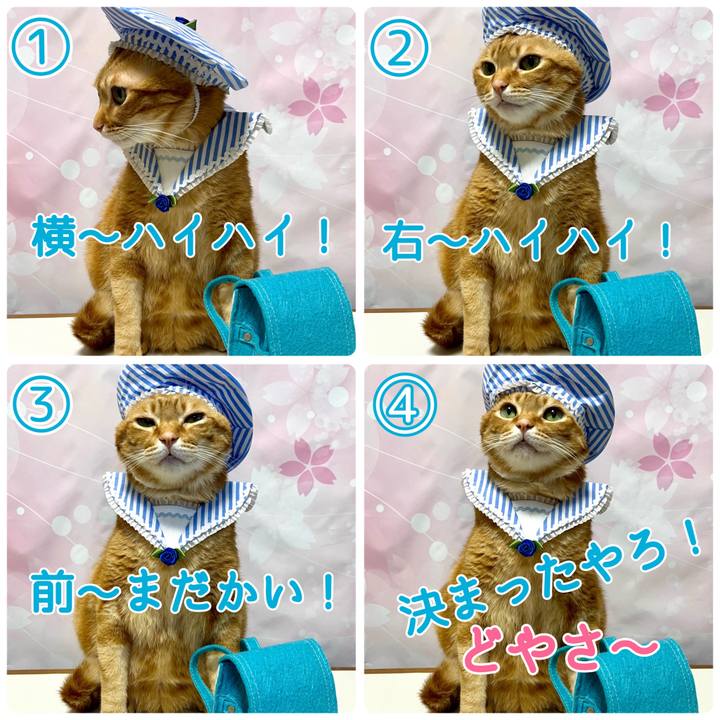 3fd389e9 3bad 41b9 904b 865fc1f3fbff 1680558826655