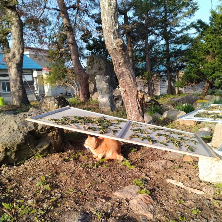 3fd3b1b4 cf80 4dd8 bb76 1917f3e671c8 1681945491810