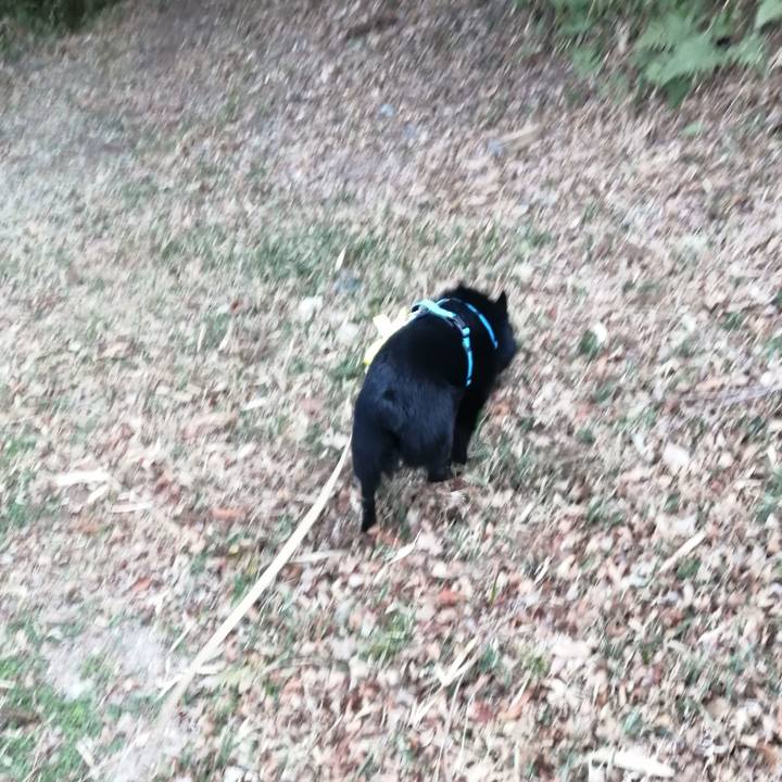 3fd3c89e a0a8 4174 86ea e1b2fab199bf 1646000233579