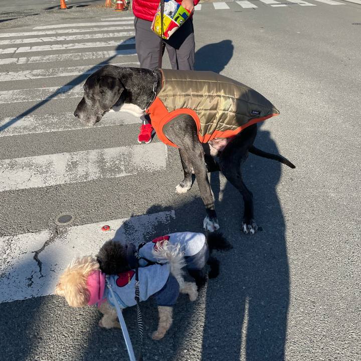 3fd3db03 dc09 424a a9a4 74dd53613717 1612055682639