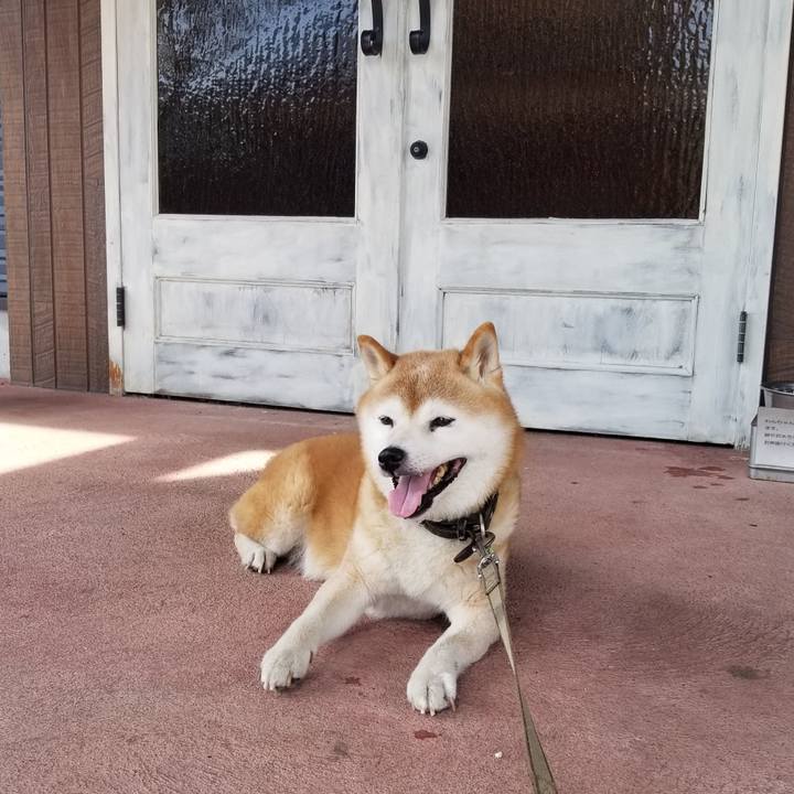 3fd41711 4936 4cde a27f 4659c7fc13d7 1694653286744