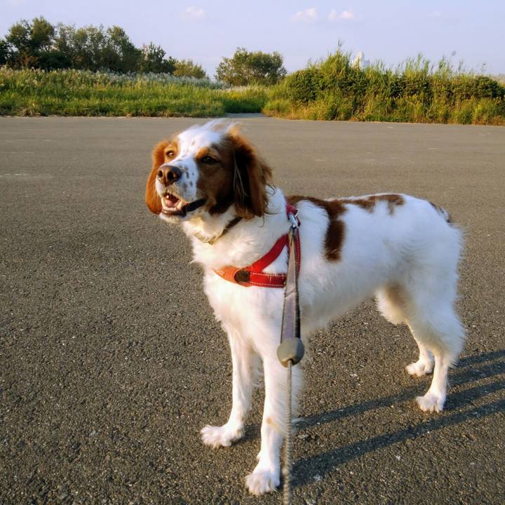 3fd4509a a505 4f9c bf5d 20c920d2fb1a 1539946252432