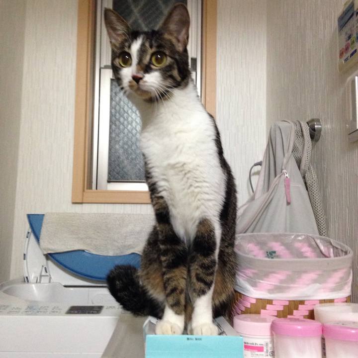 3fd468b3 d5c6 470b bffb b0b8112103ce 1513540094099